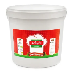 دلپذیر-سس کچاپ (سطلی)-4000 گرمی